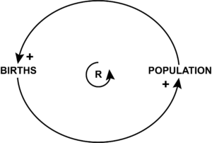 Circular diagram with births on left and population on right. Arrows go counterclockwise from element to element with a plus sign by each arrow. In the center is a small circular arrow with an R in it.