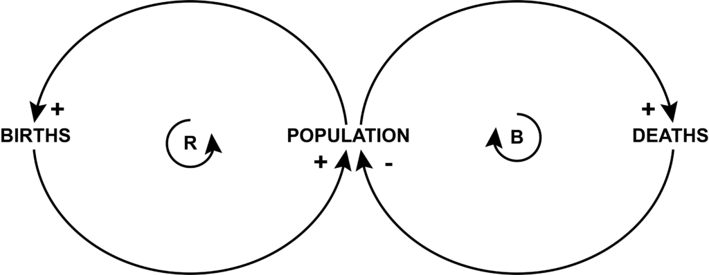 Same circular diagram with births on left and population on right. Additional circular diagram added to its right, with population as a shared point. Arrows go clockwise from element to element with a plus sign by deaths and a minus sign by population. In the center is a small circular arrow with a B in it.