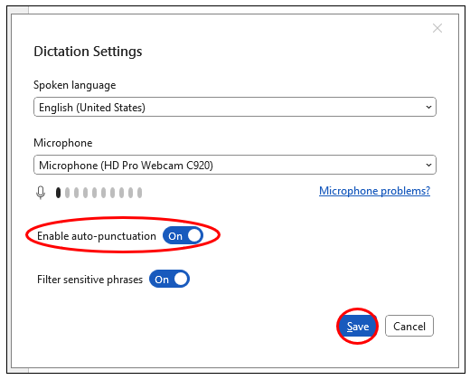 Dictation Settings with red circle around Enable auto-punctuation and the On setting for it.