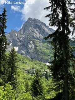 view up to a high peak, with tall evergreens framing the view