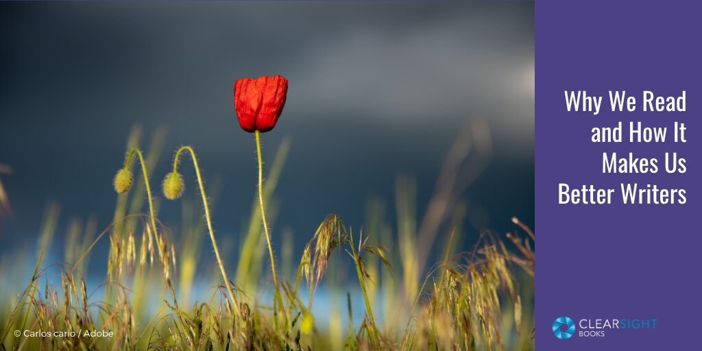 single red poppy in a field with dark background but light on the flower. text : Why we read and how it makes us better writers.