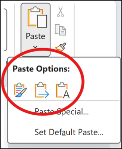 Paste Options menu from ribbon (toolbar)